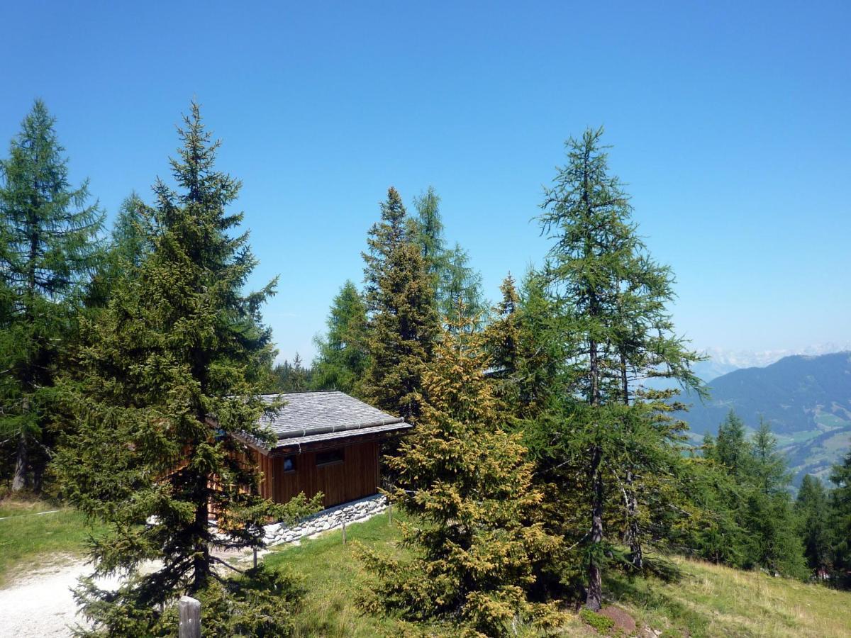 Haus Daniel Schartner Daire Kleinarl Dış mekan fotoğraf