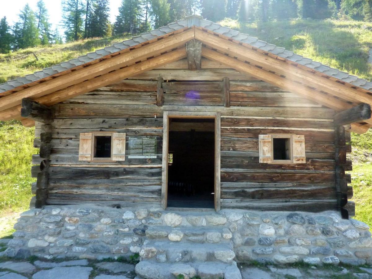 Haus Daniel Schartner Daire Kleinarl Dış mekan fotoğraf