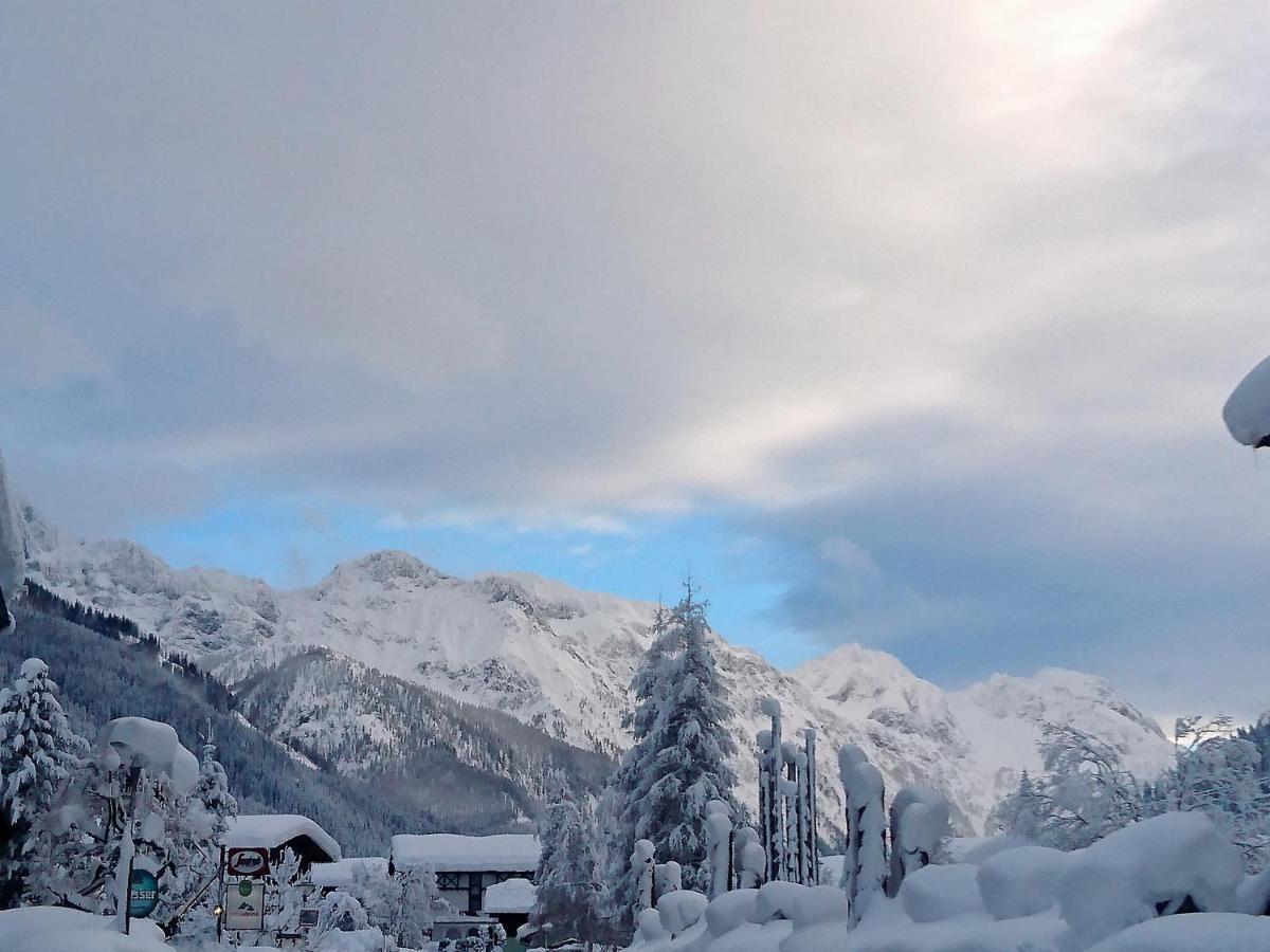 Haus Daniel Schartner Daire Kleinarl Dış mekan fotoğraf